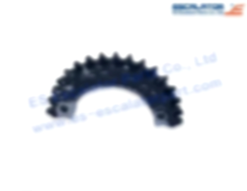 ES-SC393 SWK770019 Split Sprocket 80-2 30t